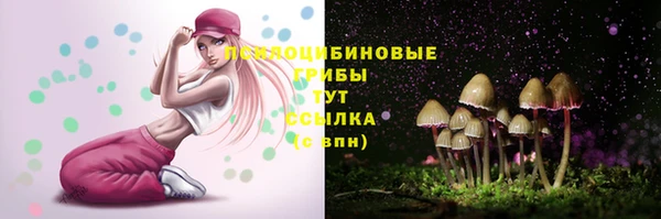 ПСИЛОЦИБИНОВЫЕ ГРИБЫ Нязепетровск