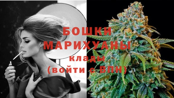 эйфоретик Няндома