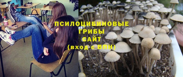 ПСИЛОЦИБИНОВЫЕ ГРИБЫ Нязепетровск