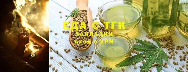 эйфоретик Няндома