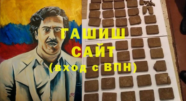 эйфоретик Няндома