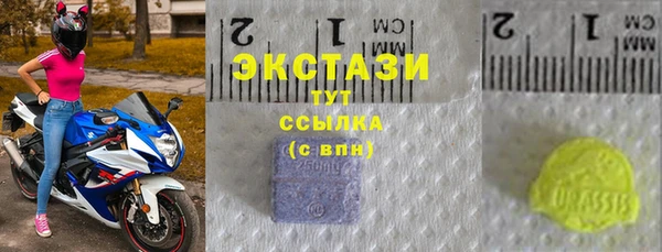 эйфоретик Няндома