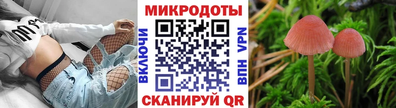 Псилоцибиновые грибы Cubensis Купить Уяр